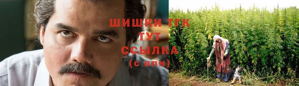ешки Туринск