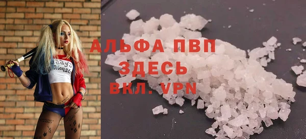 индика Тутаев