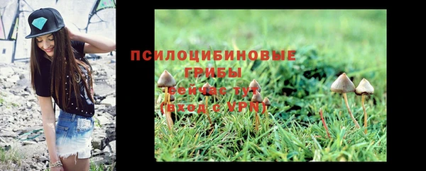 бутират Няндома