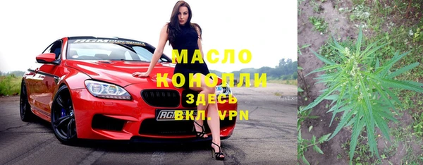 индика Тутаев