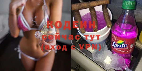 хмурый Тында