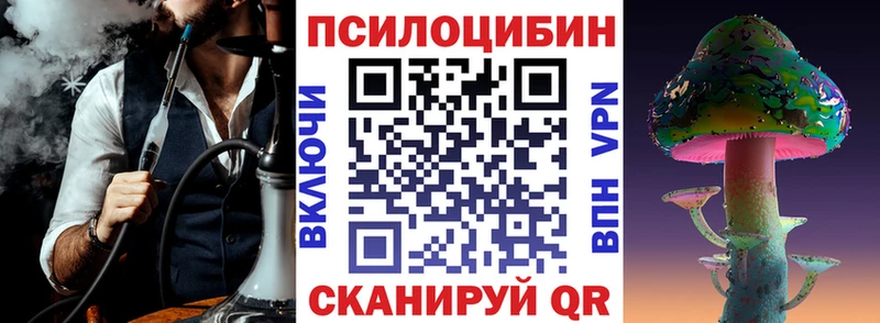 блэк спрут ссылки купить сайты Агрыз Псилоцибиновые грибы MAGIC MUSHROOMS